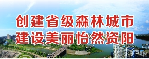 操逼穴视频创建省级森林城市 建设美丽怡然资阳