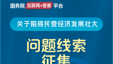 男生用鸡鸡插在女生的下面的视频国务院“互联网+督查”平台公开征集阻碍民营经济发展壮大问题线索